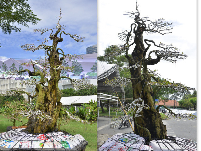 cay-kieng-doc-gia-bac-ty-o-cho-hoa-tet-nam-dinh-dau-cay-canh-tay-ninh-24h (1).jpg