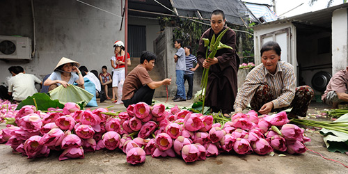 không-gian-xanh-giữa-hà-nội-tây-ninh-24h (1).jpg