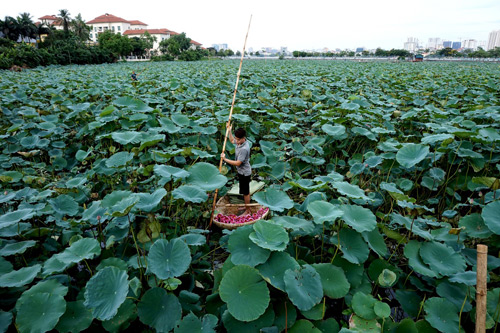 không-gian-xanh-giữa-hà-nội-tây-ninh-24h (7).jpg